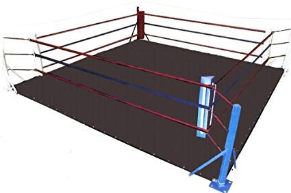 Amazon.co.jp: MMA Flooring Canvas Mats - Wrestling, Boxing